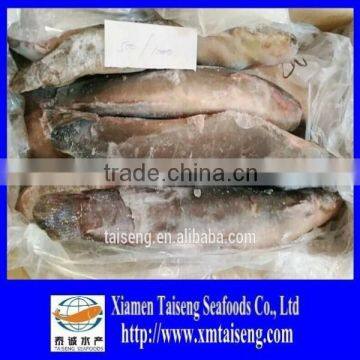 China catfish for Africa market