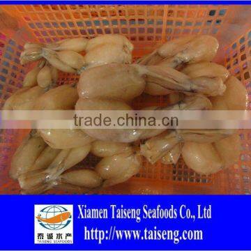 Sales 8-12 PCS Frozen bull frog legs