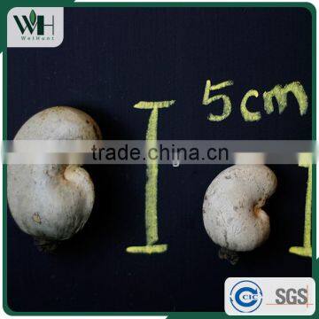 2016 Newest Cambodia Shell Attached Cashew Nut photo-5
