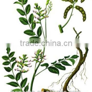 licorice root,licorice stick new crop free sample