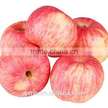 China Fuji apple