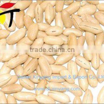 Wholesale chinese product fried blanched peanut kernel