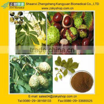 Natural Horse Chestnut Extract from GMP manufacturer