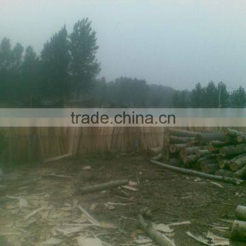 Automatic Wood Venner Peeling Lathe/veneer Rotary Peeling Lathe/plywood Core Venner Machine With High Efficiency photo-4