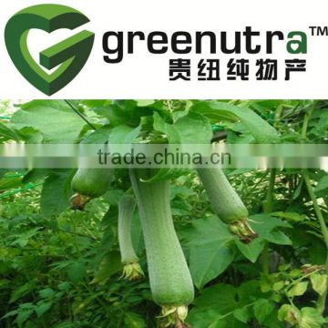 Luffa Cylindrica Extract Powder