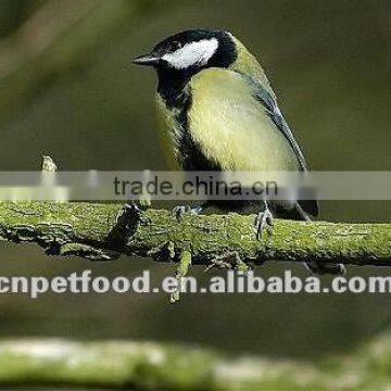 Mealworm Worm&Insect Bird Feed