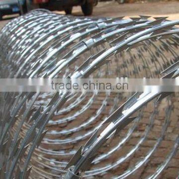 Wholesale BTO-22 Hot-dipped Galvanized Razor Barbed Wire photo-5