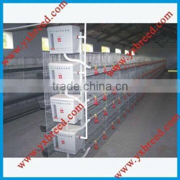 Poultry equipment for broiler