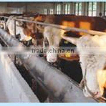 Cattle Ventilation Systerm photo-4