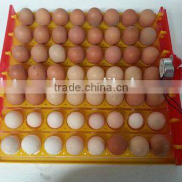 Transparent Mini Parrot Egg Incubator Incubator for Sale