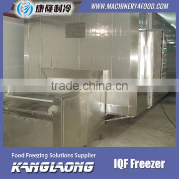 Large Output Freezing Plant With Good Quality