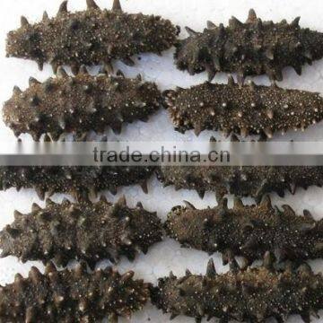 Sea Cucumber Microwave Vacuum Dryer photo-4