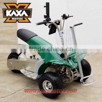 1000W Golf Buggy