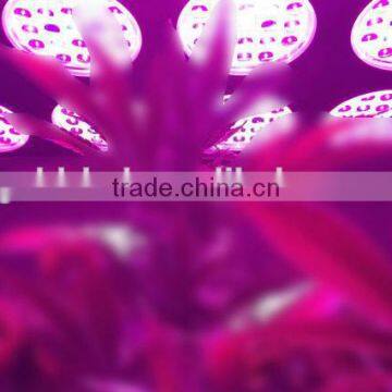 Greenhouse Led Panel Grow Light Switchable Indoor Growing Light With Best Price photo-6