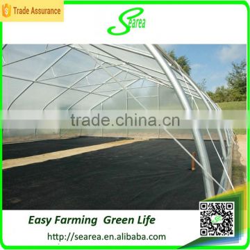 Large size film cover material agricultural greenhouses for sale