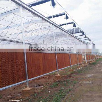 Factory Price Plastic Covered Commercial Greenhouses photo-3