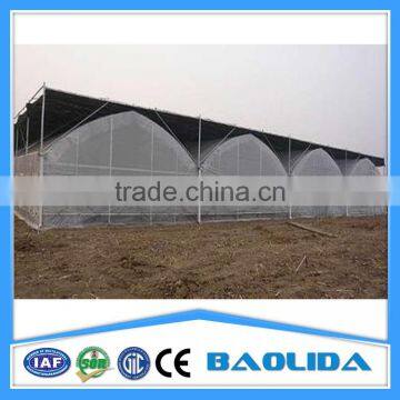 Large Multi Span Green House photo-6