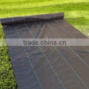 Waterproof Tent Cover Landscape Fabric photo-5
