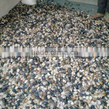 Colorful Polished River Pebble Mosic patten Tile/Cobble