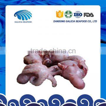 frozen baby octopus factory reasonable price with delivery faster