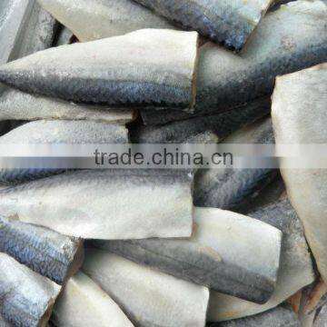 Boneless frozen fish Spanish Mackerel Frozen fish fillet 120g