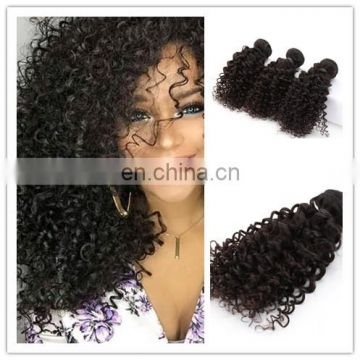 2017 hot sale virgin hair natural curly peruvian hair 100% human hair