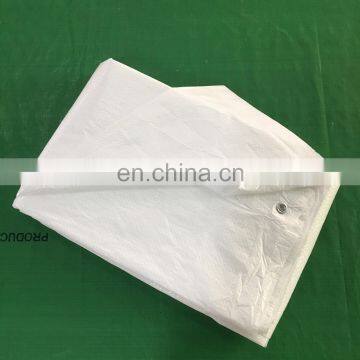 #1000 White Sheet - PE Tarpaulin, Japan Quality, Korea Standard, Made In Vietnam