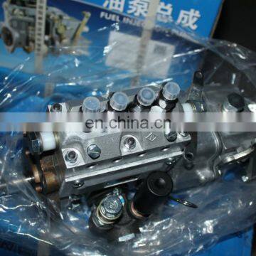 4PW871 Weifu 2100302 Fuel Pump BHF4PM105001 for Yangchai YZ4105ZLQ