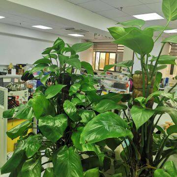 Shanghai Richem Envirotec Co.,ltd. company overview - view 1