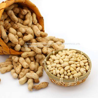 Offer Blanched Peanut Kernels 25/29 photo-3