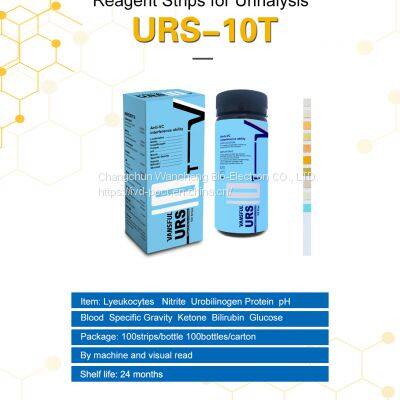 Factory hot sale urine test strip 10 parameters for urine analysis test analyzer and visual read clinical analytical use