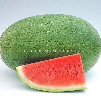 Big Pearl planting watermelon hybrid f1 seed for sale