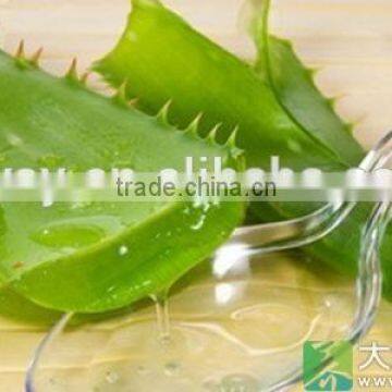 pure aloe vare essential oil effective to healing skin Afflictions And Wounds OEM