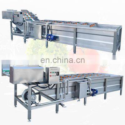 Multifunctional Small Portable Wash Leafy Vegetable And Fruit Food Clean Machine Commercial Ozone Vegetable Washer photo-5