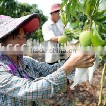 Breathable Mango Protection Bags/mango Protection Cover photo-6