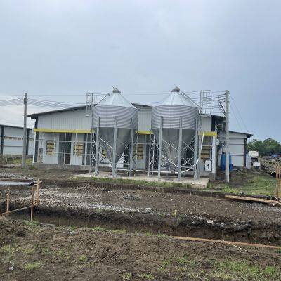 Prefab poultry house Steel poultry house Poultry farm Prefab chicken house Morden Modular Poultry Farm Building
