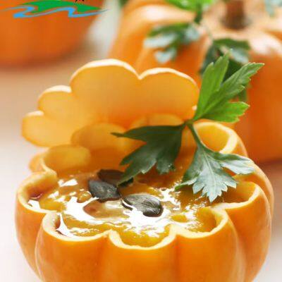 Alpine Eco-Pumpkins: Sweet & Moist Chinese Pumpkin Puree, Ready-to-Eat, Low-Calorie & Light-Burden