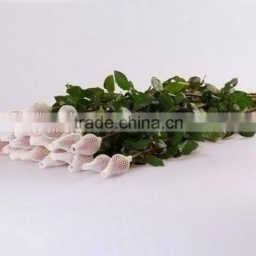 Factory New Coming Natural Black Magic Rose photo-2