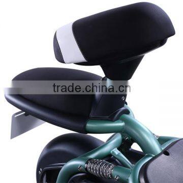 40km/h Small Electric Motorbike With Two Seats photo-5