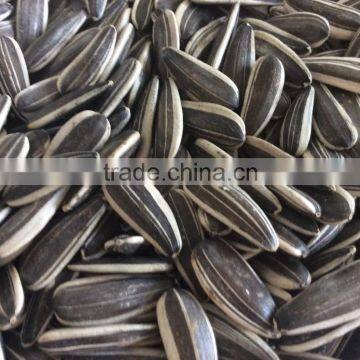 Hulled sunflower seeds