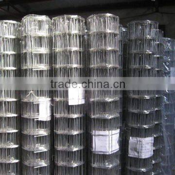 3/4"X3/4" galvanized welded wire mesh