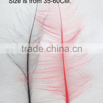 Wholesale burnt ostrich feather quill