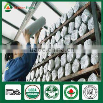 Supplier of Shiitake Mushroom Spawn Growing Kit for Shiitake Mushroom Farm photo-5