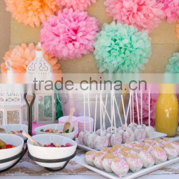 Hot Sale Pastel Tissue Paper Pom Poms In Nursery, Wedding Party Decoration