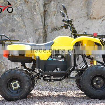 CE Racing 4 Wheel Motorcycles Racing Buggy Adult 250cc Quad Bike ATV for Sale photo-4