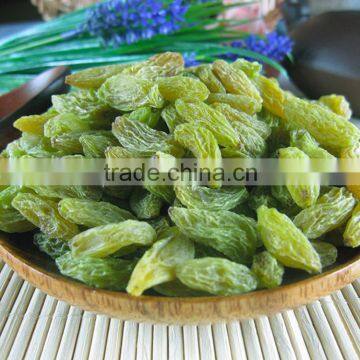 2015 new crop Seedless green raisin