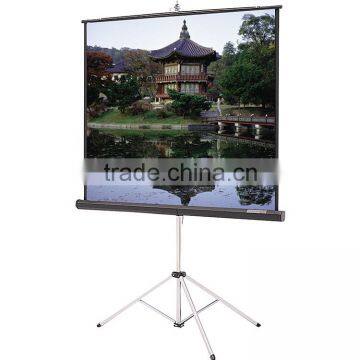 300 inch outdoor holographic black rear projection screen