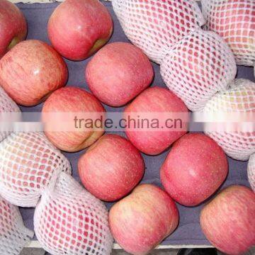 Good taste Fuji Fresh Apples for exporting Southasia in china