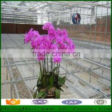 Factory directly sale high quality welded wire mesh sheet