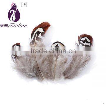 Natural color pheasant chicken feather for hat and party decoration,cheap feathers                        
                                                Quality Choice